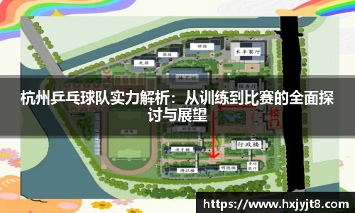 杭州乒乓球队实力解析：从训练到比赛的全面探讨与展望